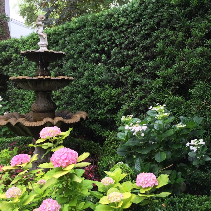 Charleston garden 2