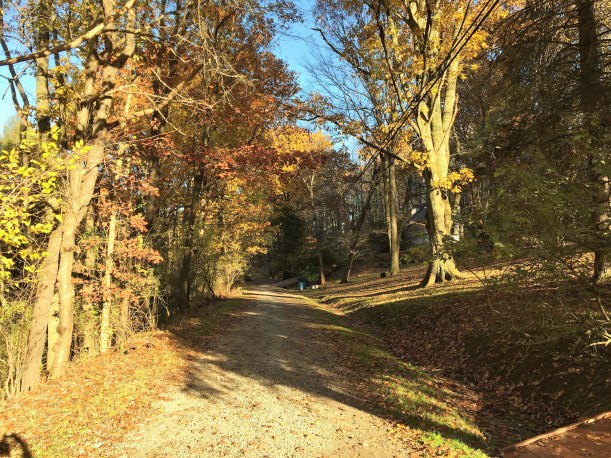 late afternoon light