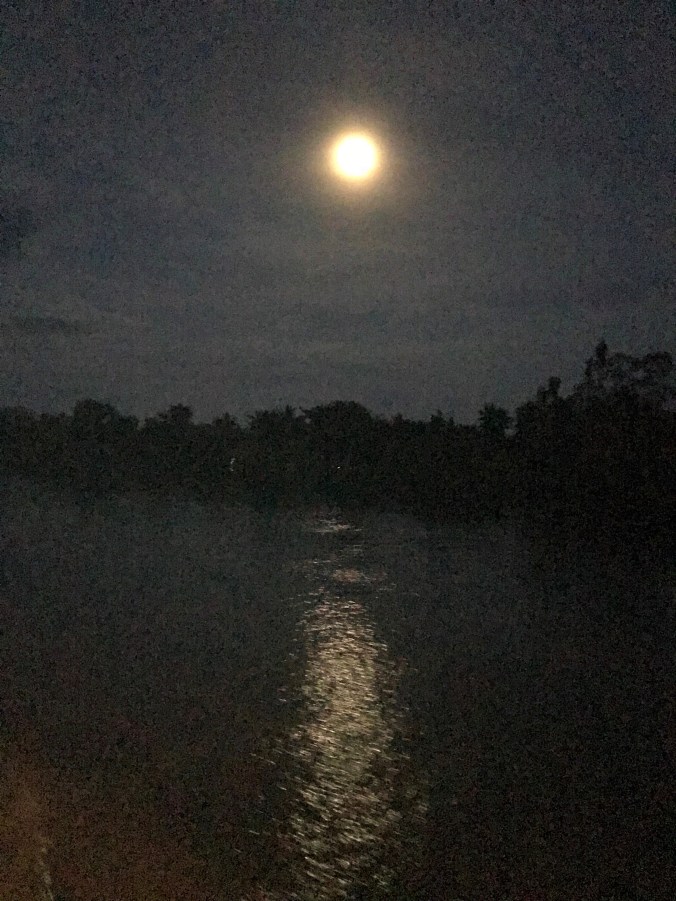 Moonlight over Mekong