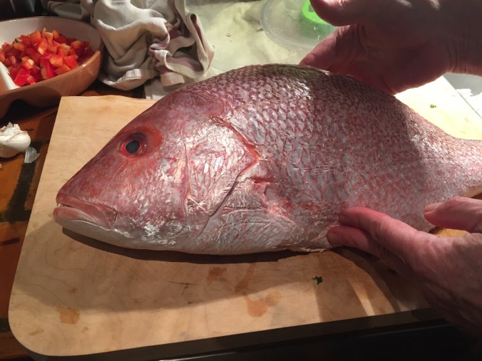 raw snapper
