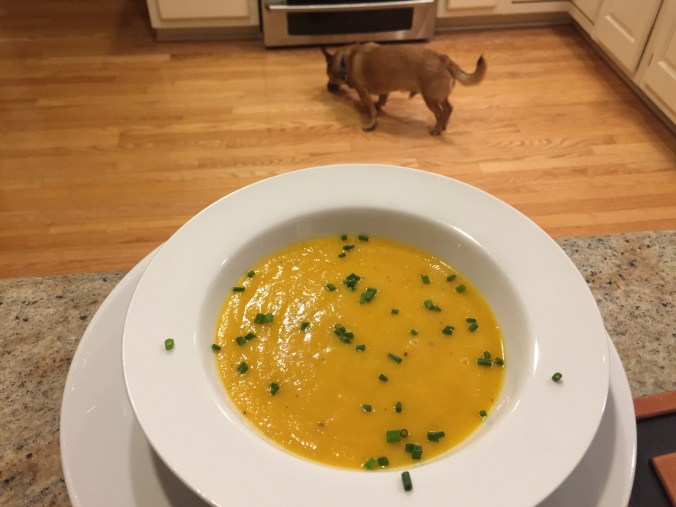 Country Potage with dog