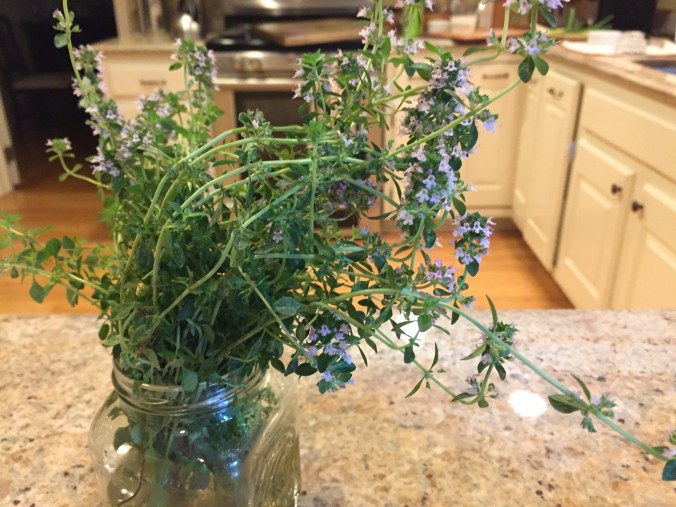 thyme