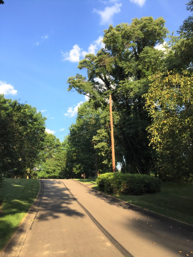 Perfect morning in the hood