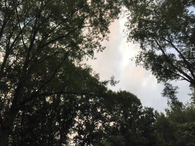 View from grilling deck