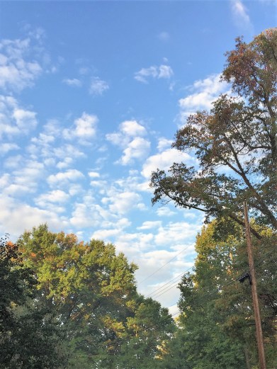 Blue sky in the hood