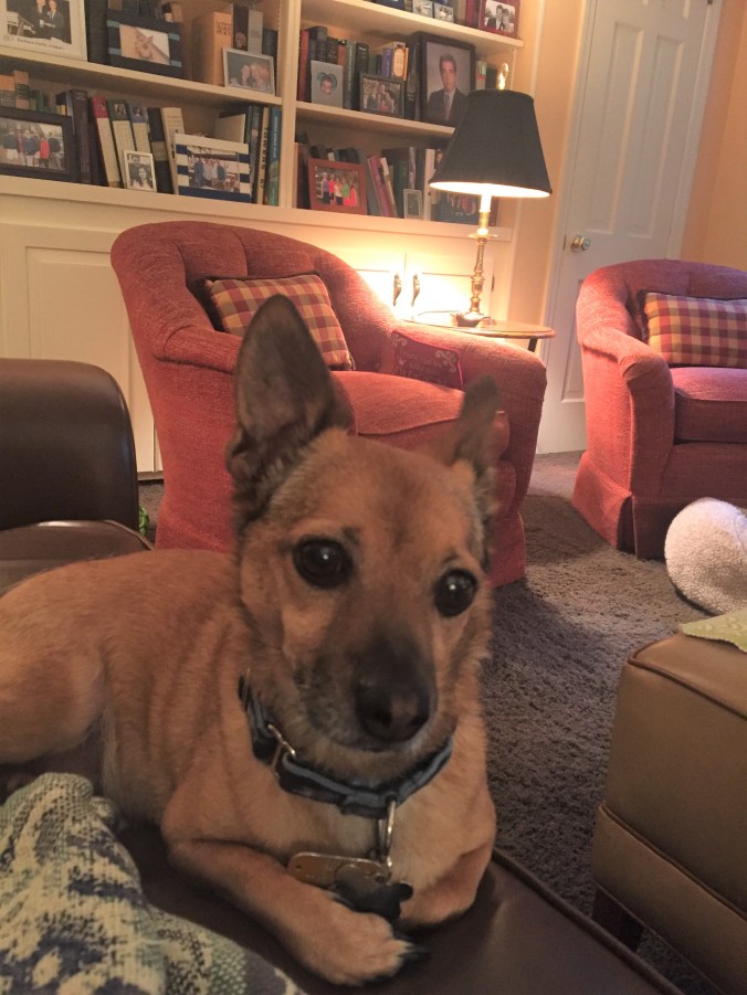 Rusty wondering where I am