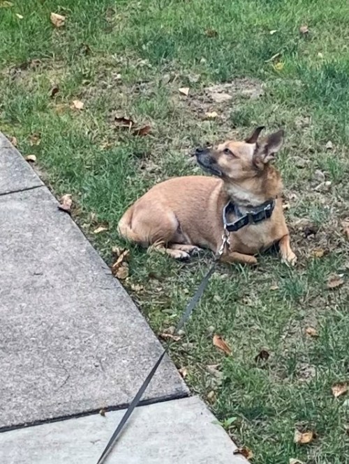 Russell contemplating clouds